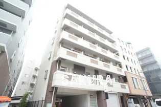 カスタネアの画像