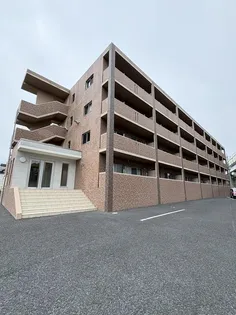 モアクルーズの画像