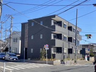 サフランの画像