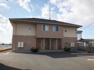 カスタネアンBの画像