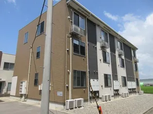 プラシードの画像