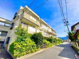 Y'S COURT 1の画像