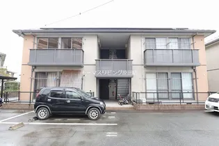 ピュアパームの画像