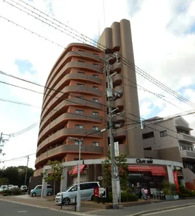 ベルフォーレの画像