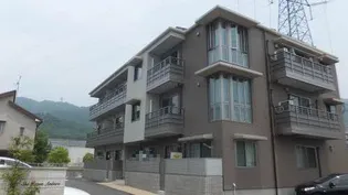 SHAMAISON AMBIERAの画像