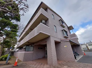 サンロイヤル スミの画像