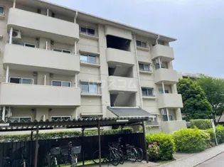 清新中央ハイツ5号棟の画像