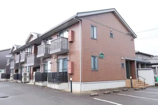 DH ステラ寿の画像