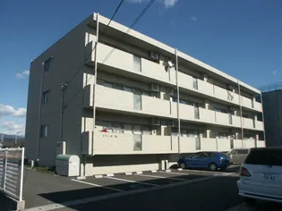 メゾン チノ丸【2階】の外観