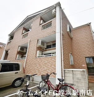 スタープラチナ姪浜の画像