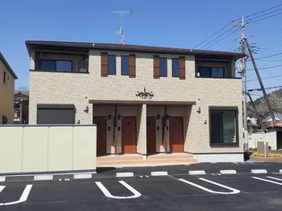 ボニータ Aの画像