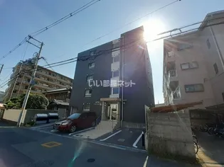 セラヴィの画像