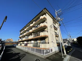 シャロームDの画像