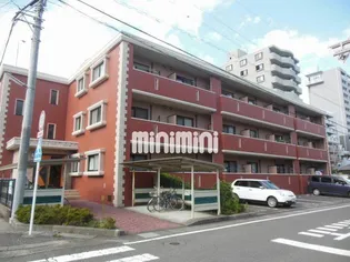 センチュリー アイの画像