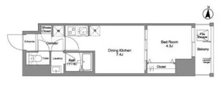 Daffitto錦糸町【3階】の間取り