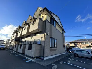 グレイスMの画像