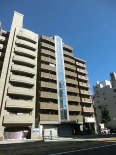 S ウイングビルの画像