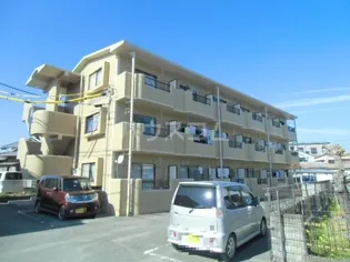 杉の杜ハイツ【2階】の外観