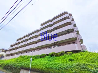 ロイヤルシティ東戸塚C棟の画像