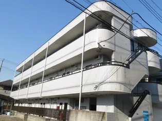 エーデルブルーメイワタNO 1の画像