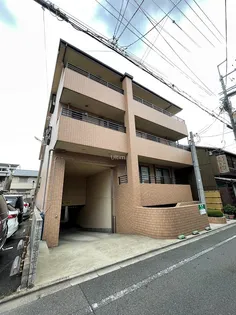 リノ若宮の画像