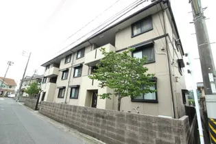 プレミール ドミの画像