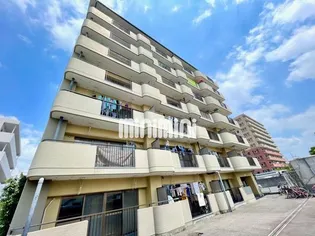 メゾン美竹【1階】の外観