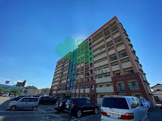 スカイウィングの画像