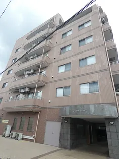 ロイヤルクマイの画像