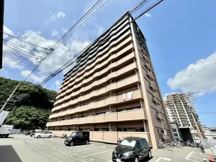 サンディエゴ永野Vの画像