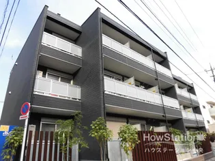 RAY HILLSの画像