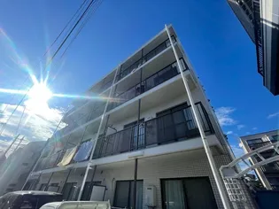 ステラマリスの画像