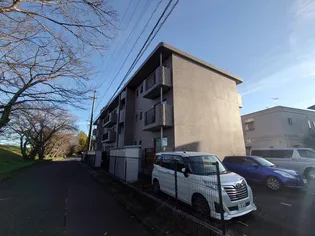 さくらハイツ【1階】の外観