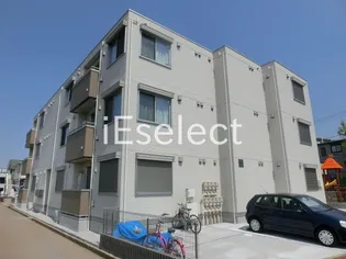 サンスクミの画像