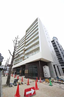 COURTHOUSE PINOTの画像