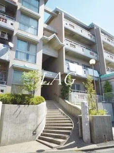 アーティーの画像