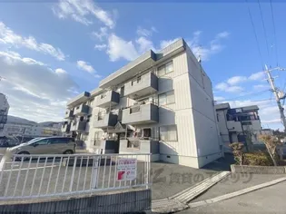 パストラルKの画像