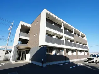 シャロルMの画像