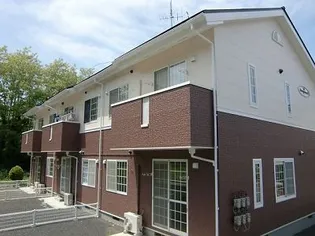エヴァ グリーン Bの画像