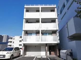 コートロティN9の画像