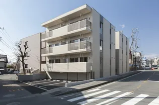 セルカ シャロンの画像