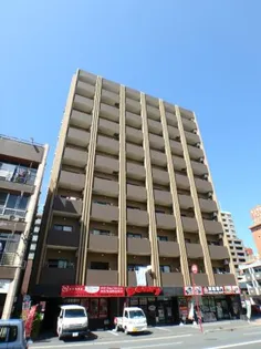 鹿児島県鹿児島市平之町【マンション】の外観