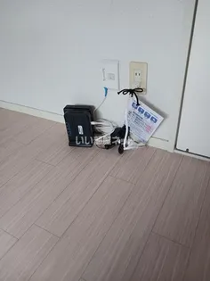 プラム今津【2階】の内装