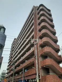 フラットフォーレストの画像