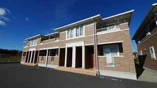 グローリアAの画像