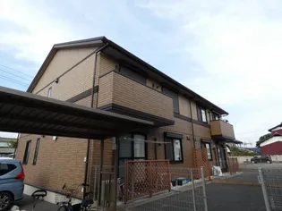 エルーセラの画像