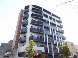 プルメリアの画像