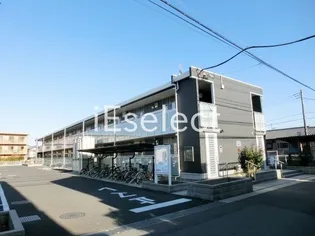 LNウォーターリリーの画像