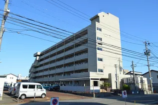 アブミパレスハセガワの画像