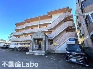 徳島県徳島市川内町榎瀬【マンション】の外観